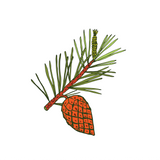 Pine Essential Oil